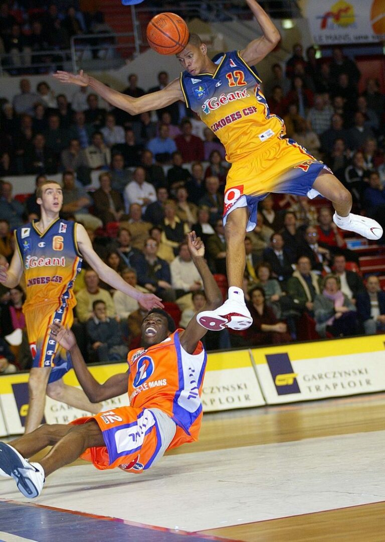 Reportage basketball - MSB face à Limoges CSP, action primée au Salon de Mayet 2004